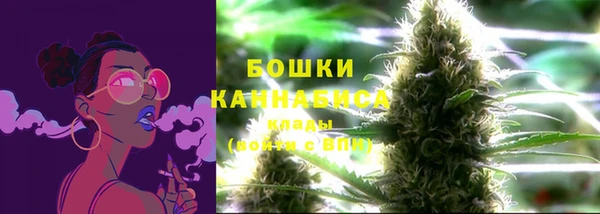 хмурый Осинники