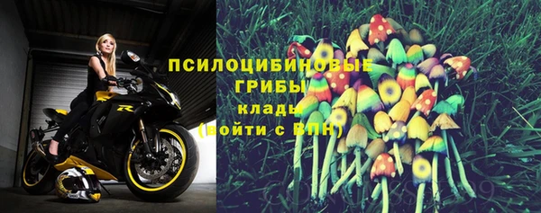 Альфа ПВП Белокуриха