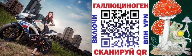 Галлюциногенные грибы Magic Shrooms  купить наркотики цена  Чегем 